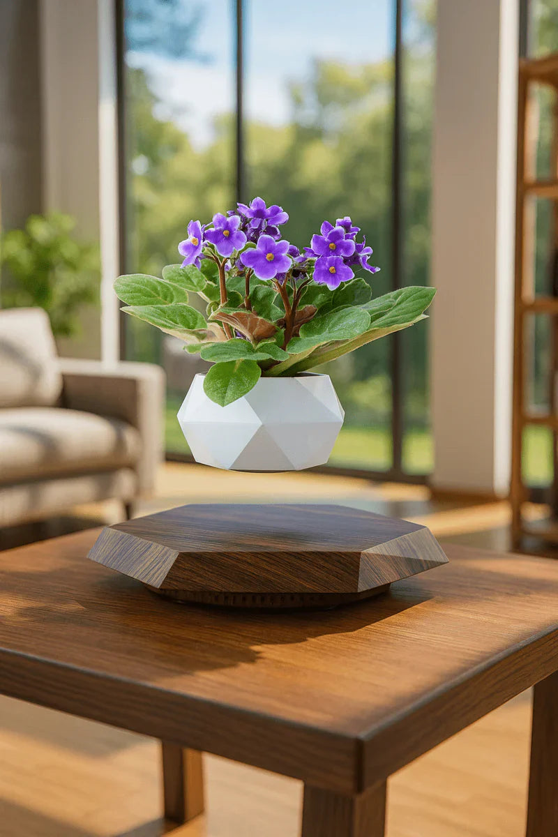 Levitating Flower Pot | أصيص نباتات عائم مغناطيسي