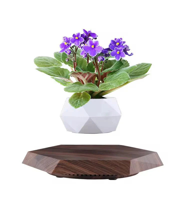 Levitating Flower Pot | أصيص نباتات عائم مغناطيسي