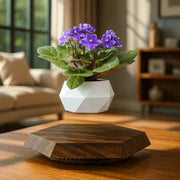 Levitating Flower Pot | أصيص نباتات عائم مغناطيسي